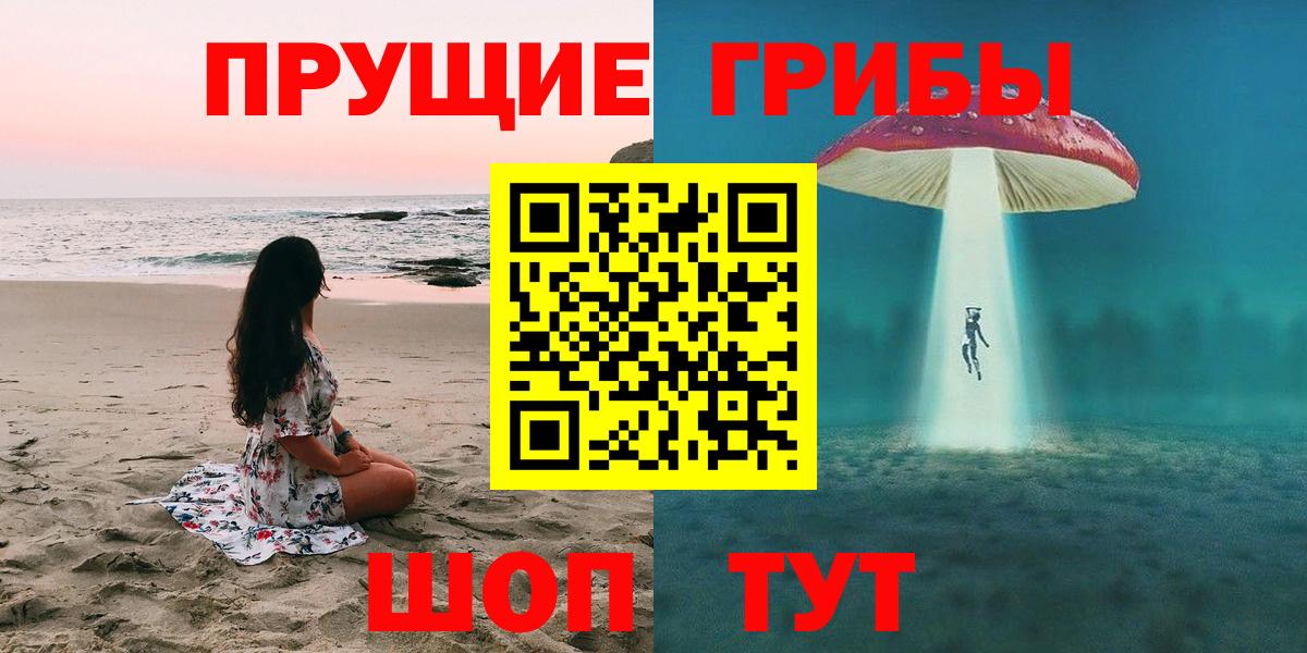 Галлюциногенные грибы Psilocybe Кемерово